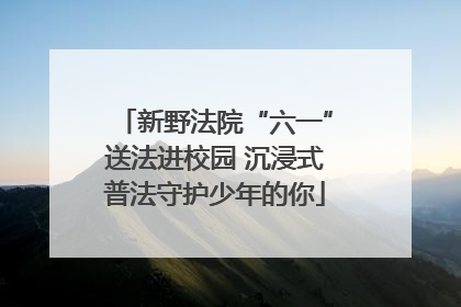 新野法院“六一”送法进校园 沉浸式普法守护少年的你