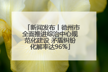 新闻发布丨德州市全面推进综治中心规范化建设 矛盾纠纷化解率达96%