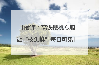 时评：高铁樱桃专厢 让“枝头鲜”每日可见