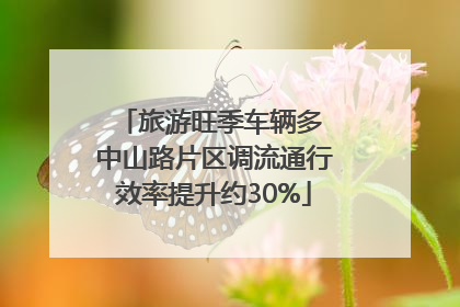 旅游旺季车辆多 中山路片区调流通行效率提升约30%