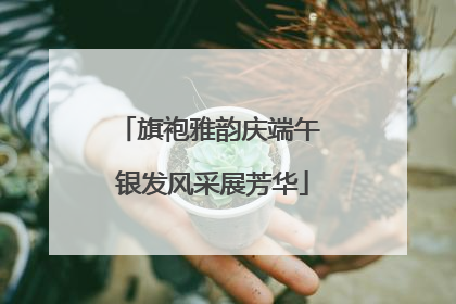 旗袍雅韵庆端午 银发风采展芳华