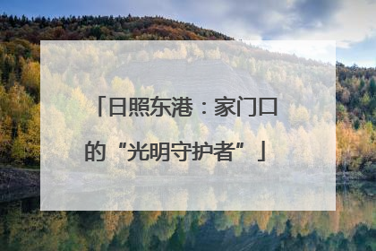 日照东港：家门口的“光明守护者”
