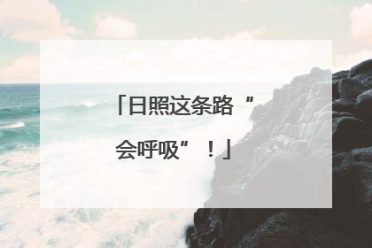 日照这条路“会呼吸”！
