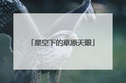 星空下的草原天眼