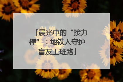 晨光中的“接力棒”：地铁人守护盲友上班路