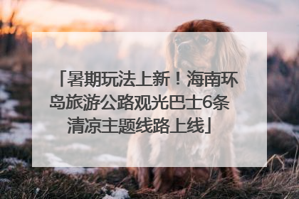 暑期玩法上新！海南环岛旅游公路观光巴士6条清凉主题线路上线