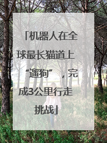 机器人在全球最长猫道上“遛狗”，完成3公里行走挑战