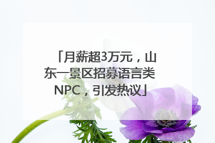 月薪超3万元，山东一景区招募语言类NPC，引发热议