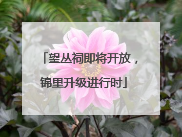 望丛祠即将开放，锦里升级进行时
