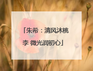 朱希：清风沐桃李 微光润初心