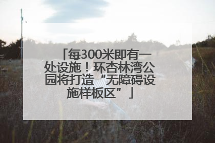 每300米即有一处设施！环杏林湾公园将打造“无障碍设施样板区”