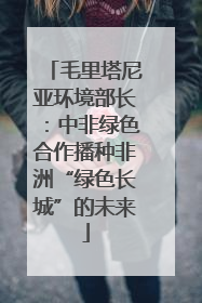 毛里塔尼亚环境部长：中非绿色合作播种非洲“绿色长城”的未来