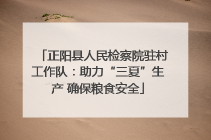 正阳县人民检察院驻村工作队：助力“三夏”生产 确保粮食安全