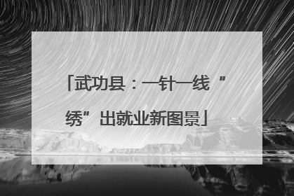 武功县：一针一线“绣”出就业新图景