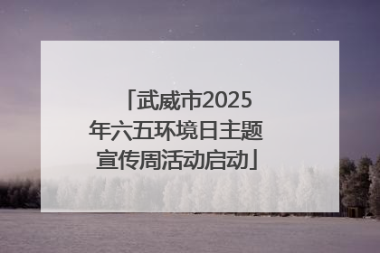 武威市2025年六五环境日主题宣传周活动启动
