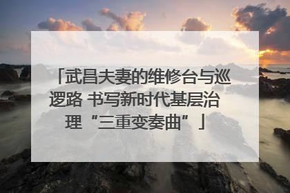 武昌夫妻的维修台与巡逻路 书写新时代基层治理“三重变奏曲”