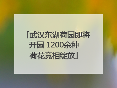 武汉东湖荷园即将开园 1200余种荷花竞相绽放