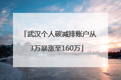 武汉个人碳减排账户从3万暴涨至160万