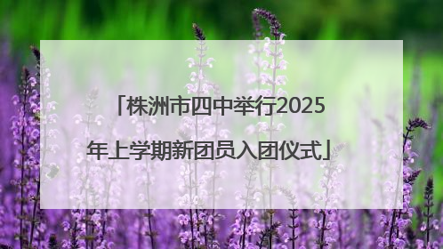 株洲市四中举行2025年上学期新团员入团仪式