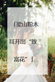 梁山粉木耳开出“致富花”