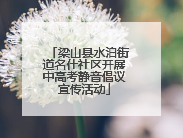 梁山县水泊街道名仕社区开展中高考静音倡议宣传活动