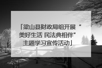 梁山县财政局组开展“美好生活 民法典相伴”主题学习宣传活动