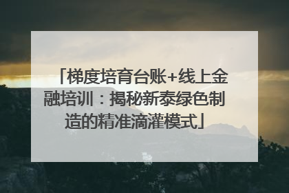梯度培育台账+线上金融培训：揭秘新泰绿色制造的精准滴灌模式