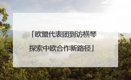 欧盟代表团到访横琴 探索中欧合作新路径