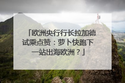欧洲央行行长拉加德试乘点赞：萝卜快跑下一站出海欧洲？