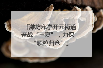 潍坊寒亭开元街道奋战“三夏”，力保“颗粒归仓”