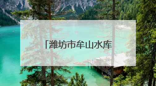 潍坊市牟山水库党总支：科学调配水资源 保障区域供水安全