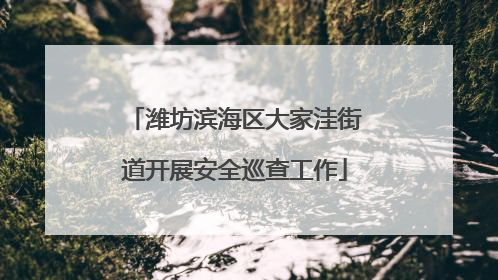 潍坊滨海区大家洼街道开展安全巡查工作