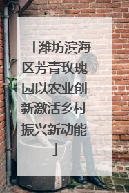 潍坊滨海区芳青玫瑰园以农业创新激活乡村振兴新动能