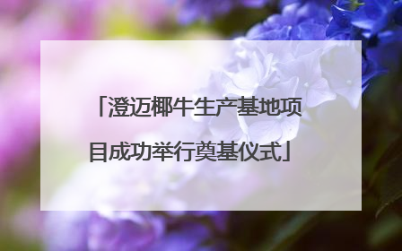 澄迈椰牛生产基地项目成功举行奠基仪式