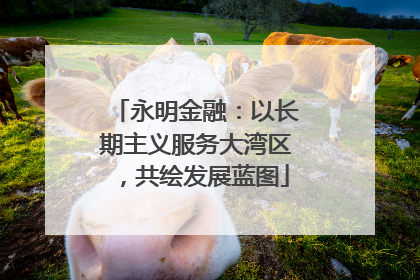 永明金融：以长期主义服务大湾区，共绘发展蓝图