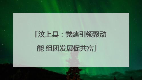 汶上县：党建引领聚动能 组团发展促共富