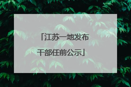江苏一地发布干部任前公示