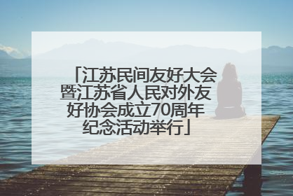 江苏民间友好大会暨江苏省人民对外友好协会成立70周年纪念活动举行