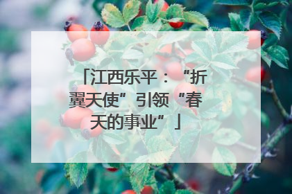 江西乐平：“折翼天使”引领“春天的事业”