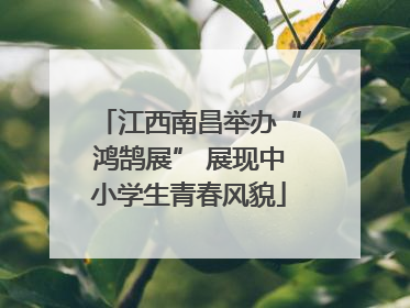 江西南昌举办“鸿鹄展” 展现中小学生青春风貌