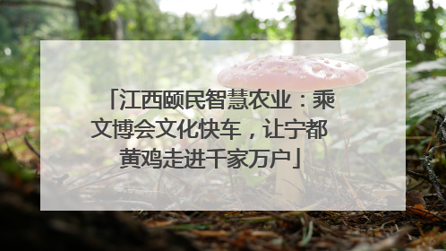 江西颐民智慧农业：乘文博会文化快车，让宁都黄鸡走进千家万户