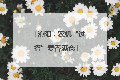 沁阳：农机“过招”麦香满仓