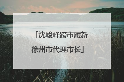 沈峻峰跨市履新徐州市代理市长