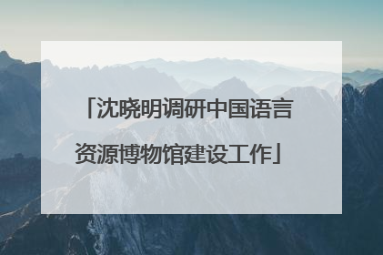 沈晓明调研中国语言资源博物馆建设工作