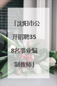 沈阳市公开招聘358名事业编制教师