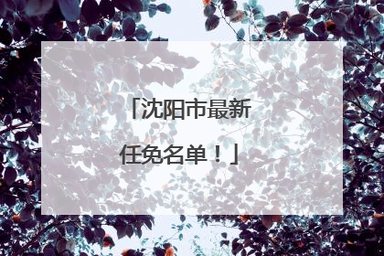 沈阳市最新任免名单！