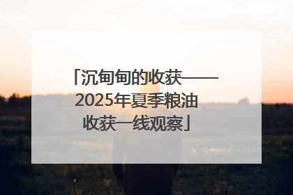 沉甸甸的收获——2025年夏季粮油收获一线观察