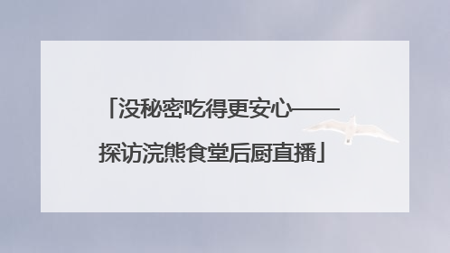 没秘密吃得更安心——探访浣熊食堂后厨直播