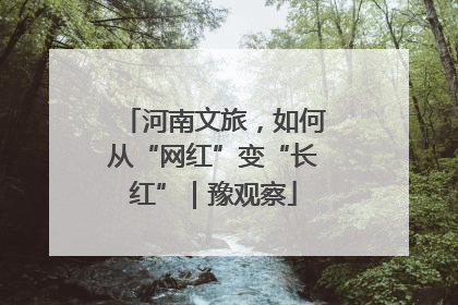河南文旅，如何从“网红”变“长红”｜豫观察
