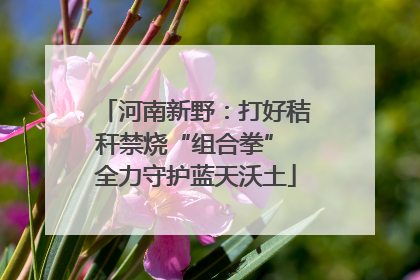 河南新野：打好秸秆禁烧“组合拳” 全力守护蓝天沃土